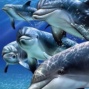 Meet your Posher, Paula